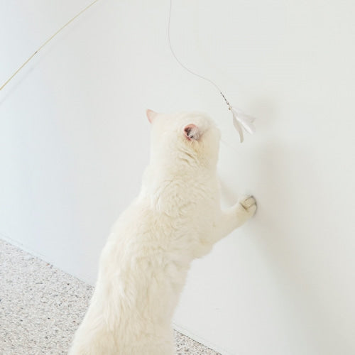 BITE ME | Play-Long Cat Teaser Wand (Fishing Rod Style | 2.4m)
