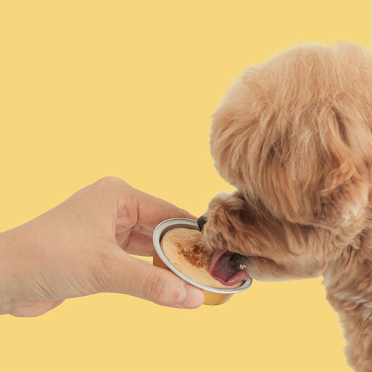 Pocket Meal - Mix (6 pcs)