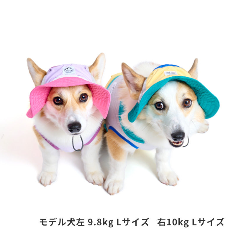 Outdoor Multicolor透氣帽