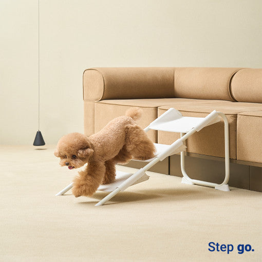 Step Go Stairs