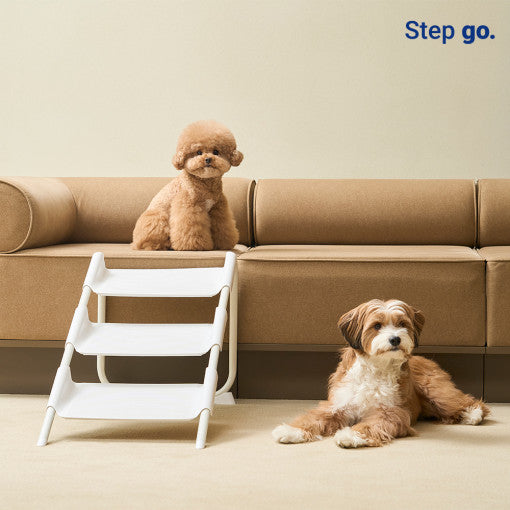 Step Go Stairs
