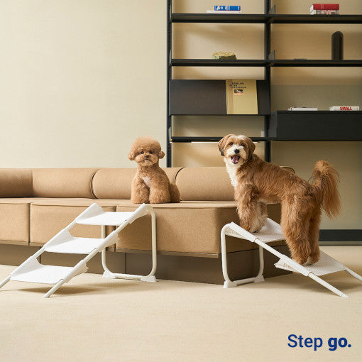 Step Go Stairs