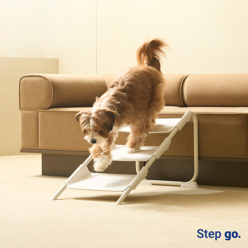 Step Go Stairs