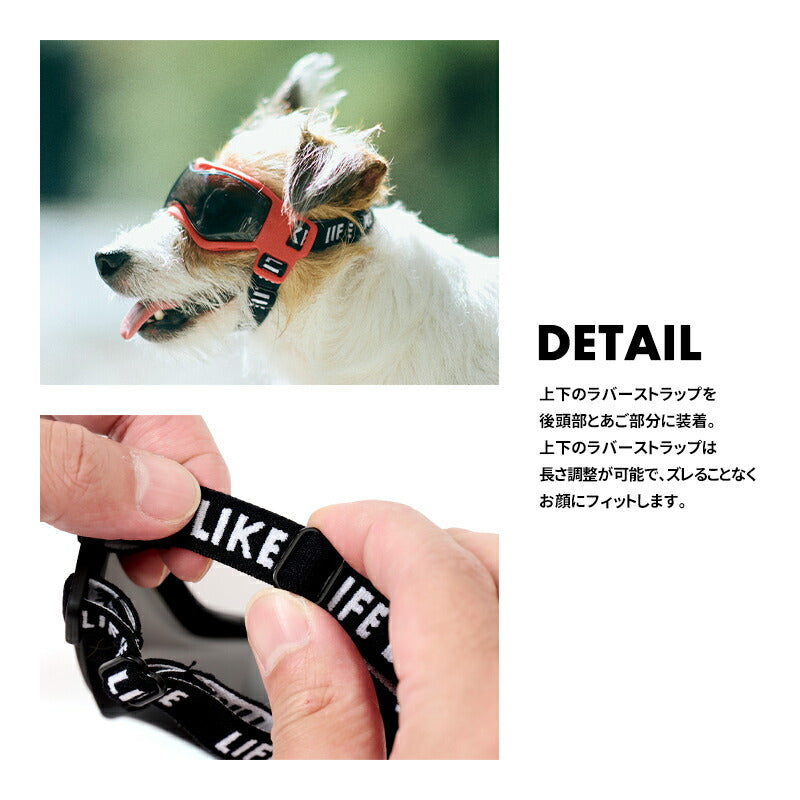 Lifelike Goggles