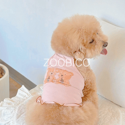 Teddy Friends Vest 熊仔背心