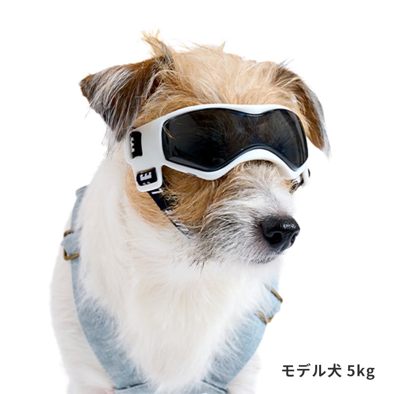 Lifelike Goggles