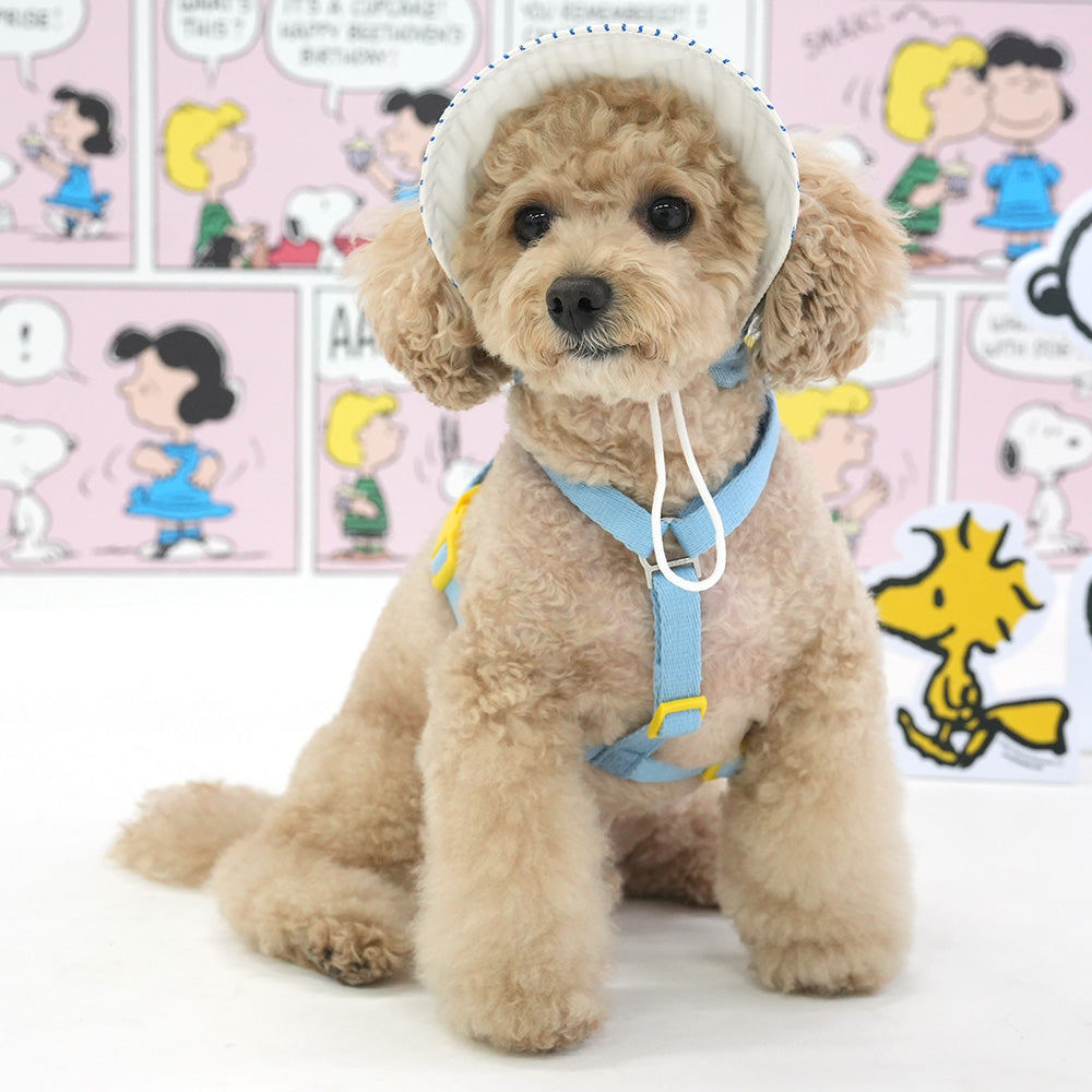 Snoopy Denim 2-Way Backpack Harness Set | Snoopy 牛仔背囊胸帶 | 1套4件 | 背囊可拆,包括拖帶&帽仔