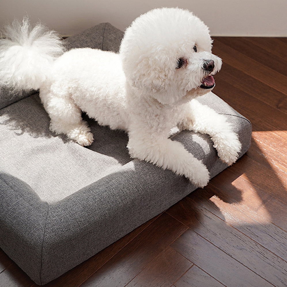 HOWLPOT Memory Foam Bed