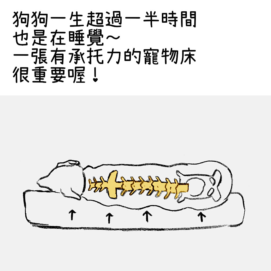 HOWLPOT Memory Foam Bed