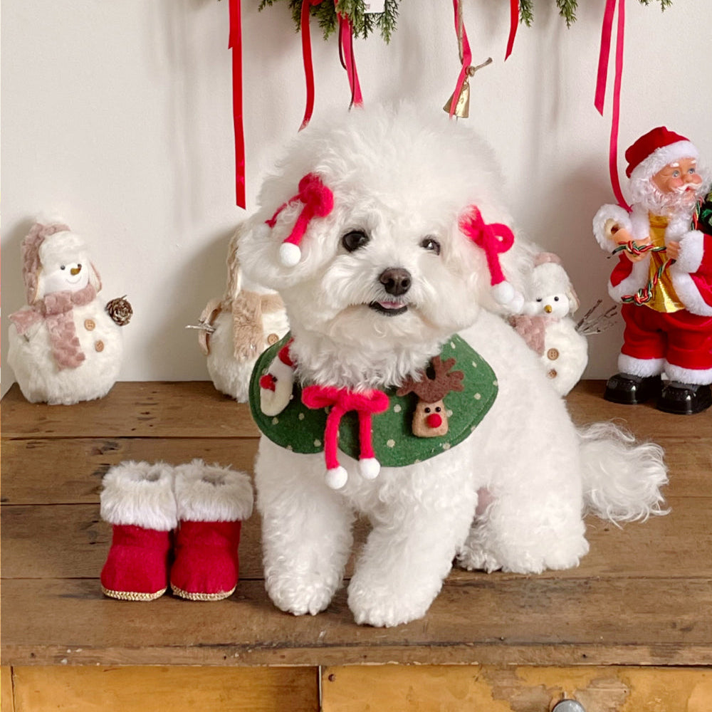 Dots Xmas Cape | Reversible (Green)