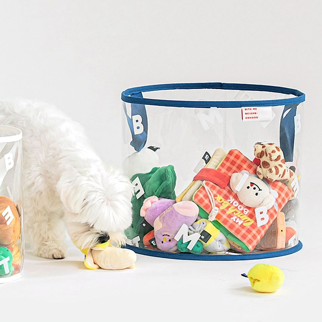 Transparent Toy Basket