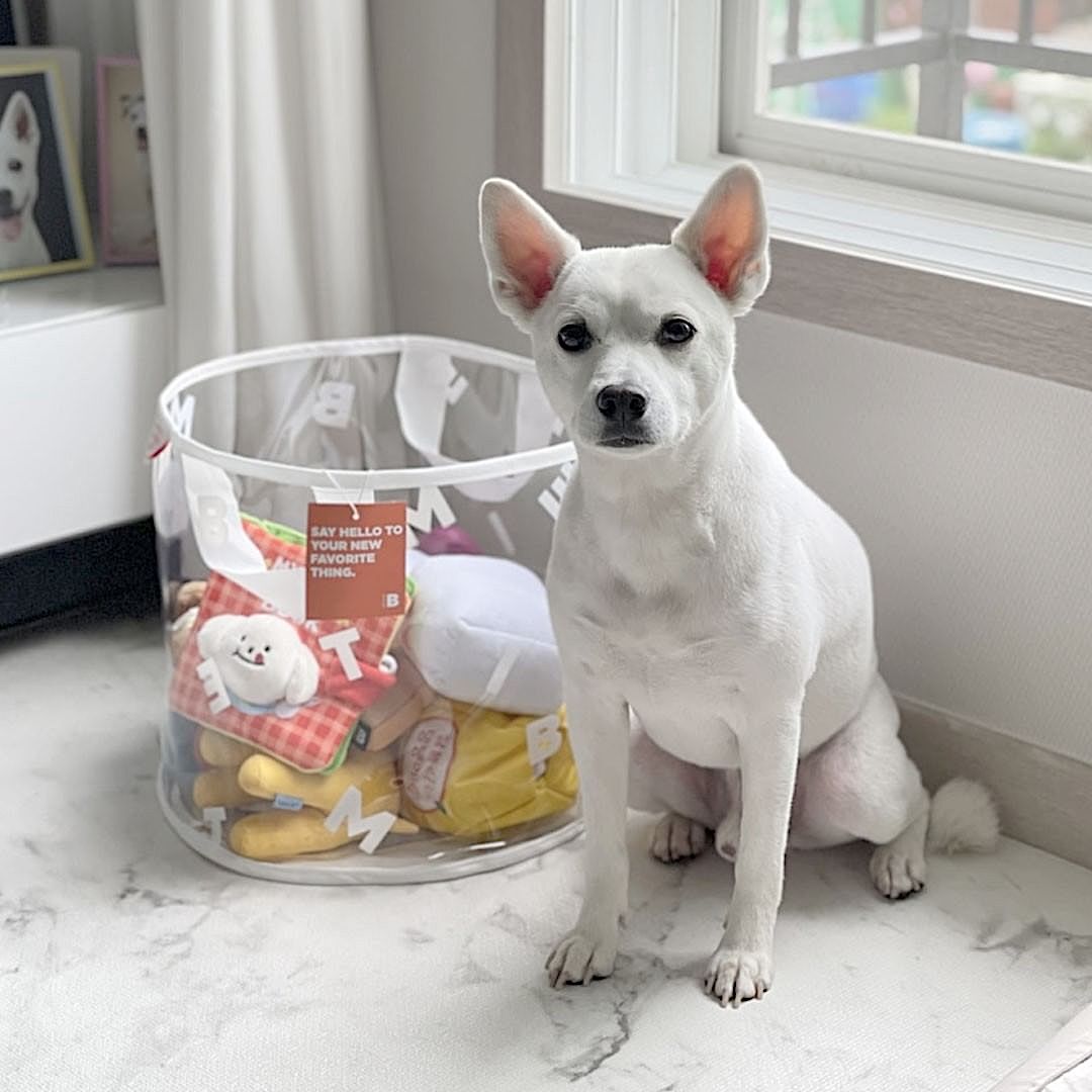 Transparent Toy Basket