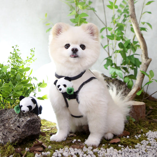 熊貓胸帶