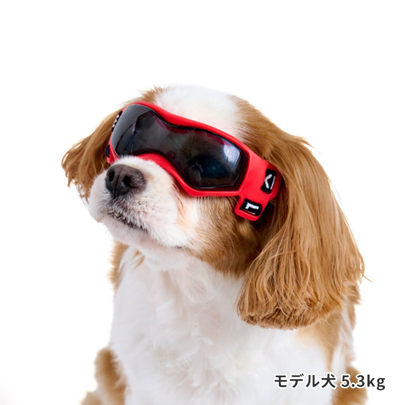 Lifelike Goggles