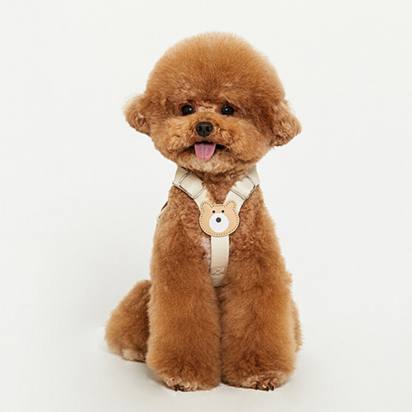 BearBong Harness (Upgrade Ver.!)