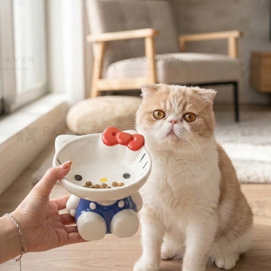 Hello Kitty & Pochacco Footed Pet Bowl | 100% Porcelain