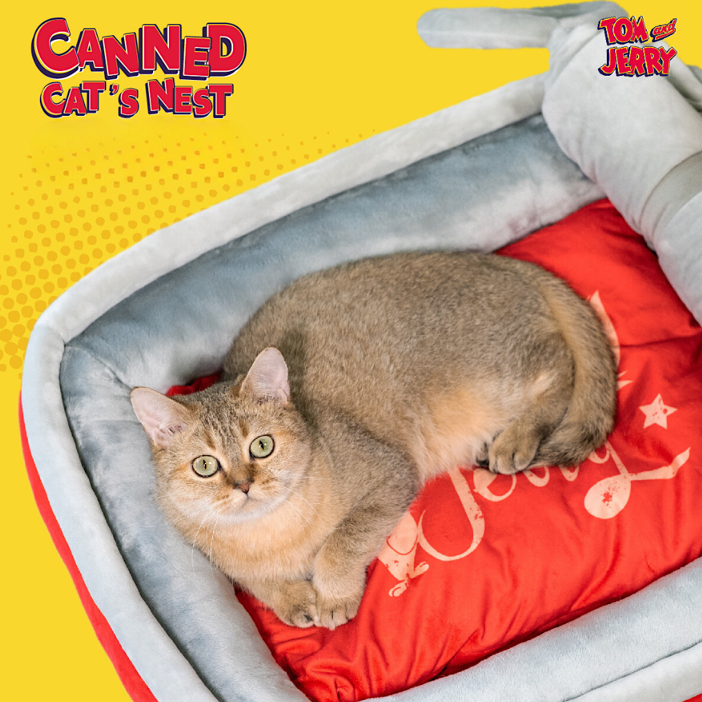 Tom & Jerry Canned Bed