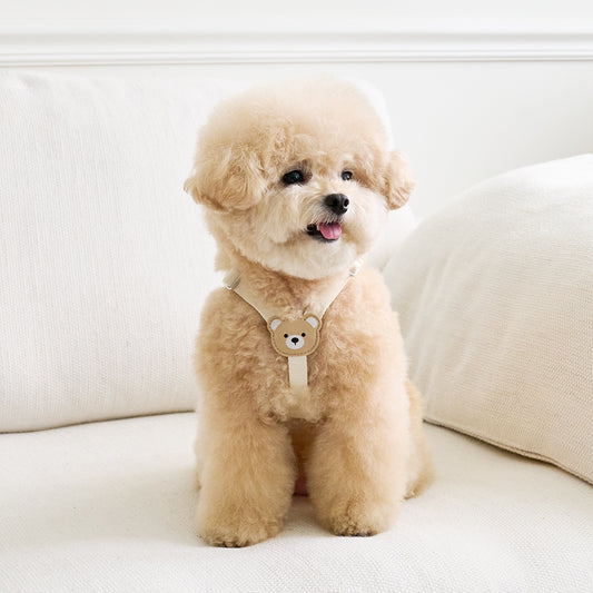 BearBong 熊仔頭胸帶 | 輕量版