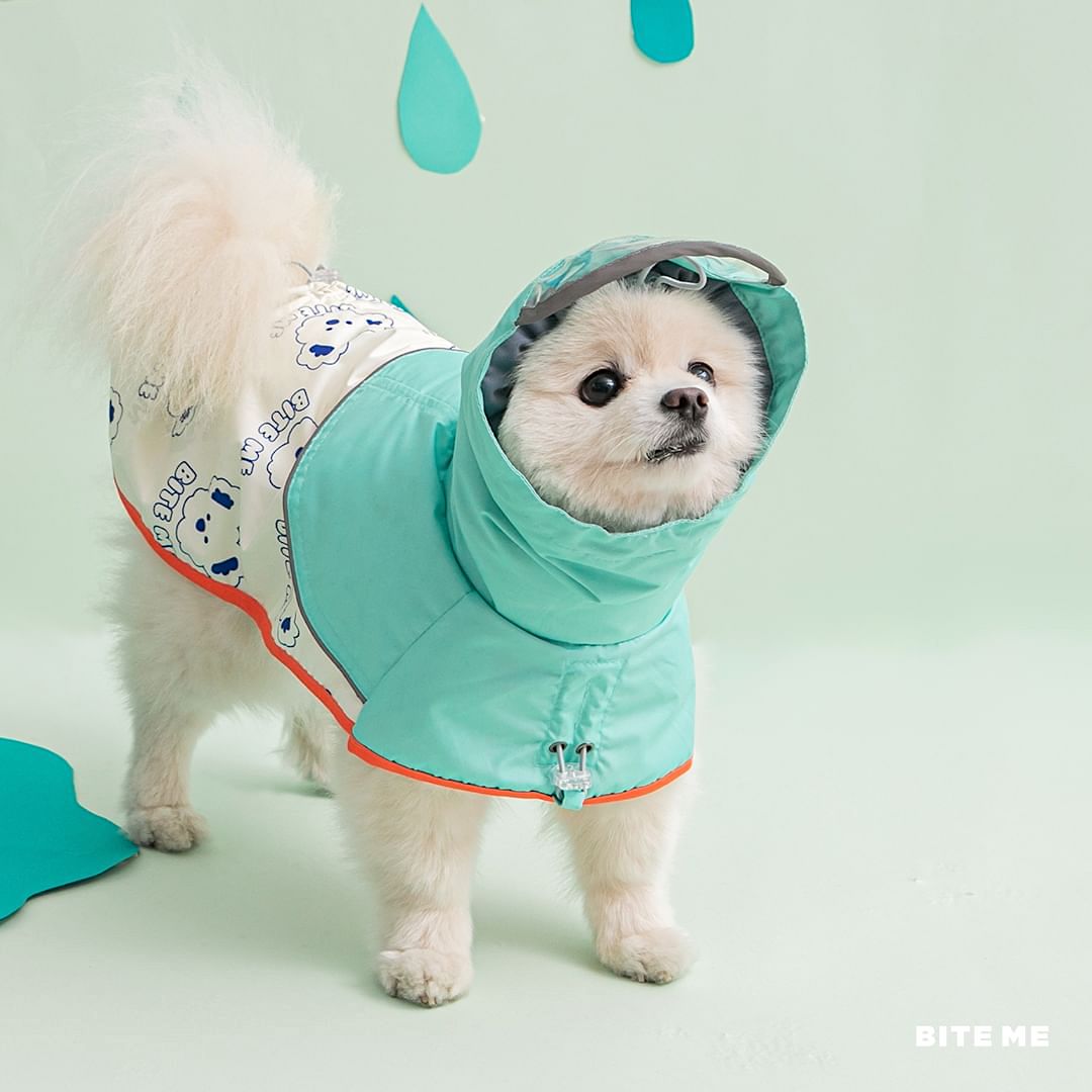 Easy Peasy Raincoat