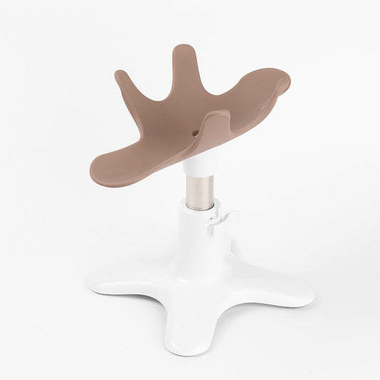BALSANG | Multi-Purpose Pet Grooming Stand | Best for Nail Tramming & Hands-Free Grooming