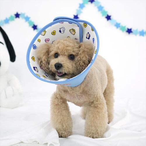 Snoopy Dog Cone (2 colors)