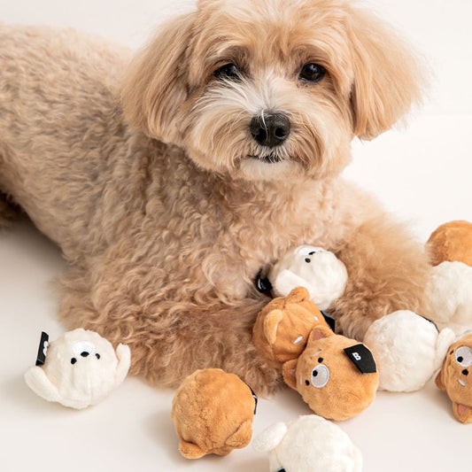 Bada & Shiro Ball Toy Set