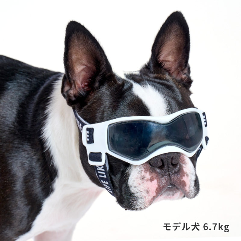 Lifelike Goggles