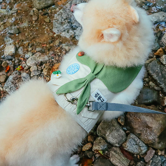 童軍胸帶| 可定制名字!