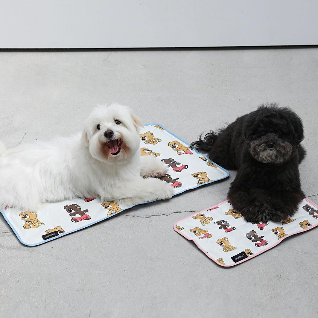 Hula Joy Bear Cooling Mat