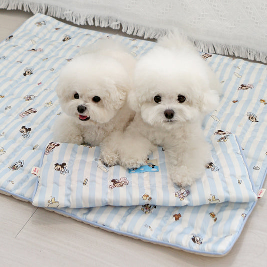 Disney Baby Friends Cooling Mat