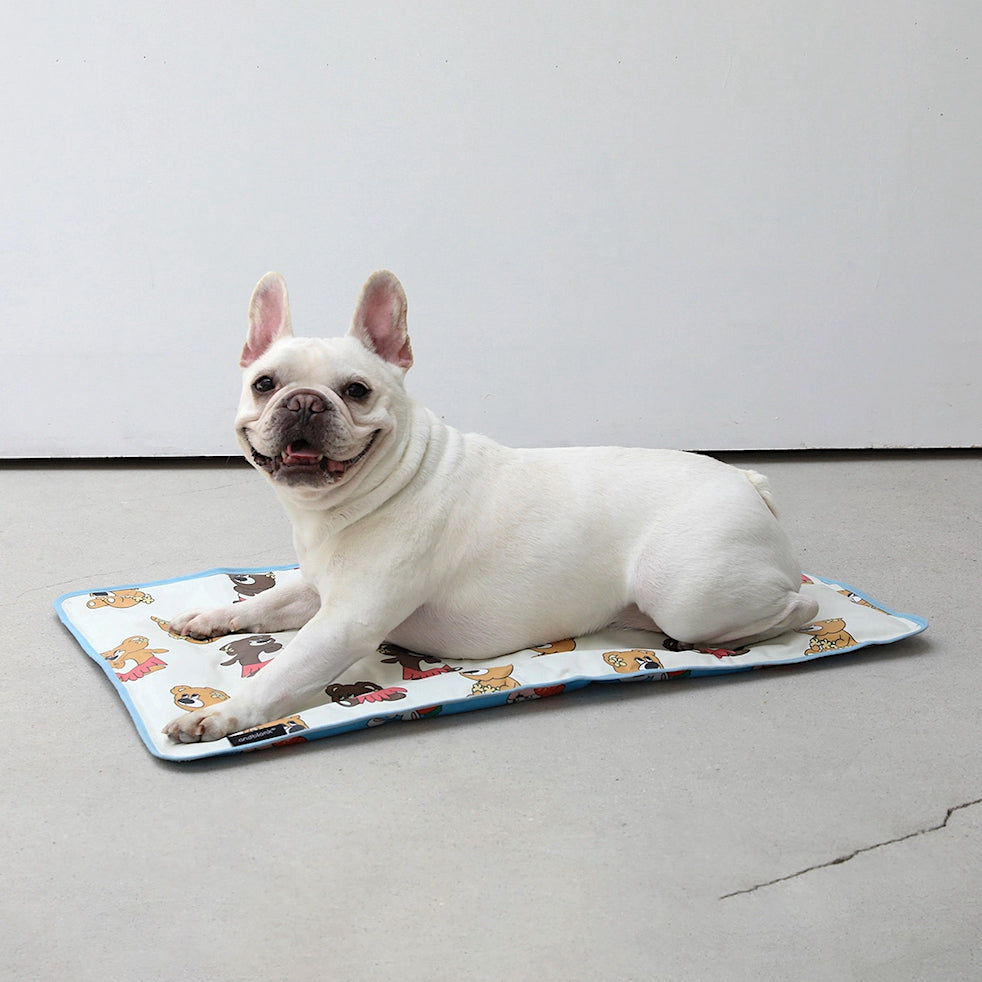 Hula Joy Bear Cooling Mat