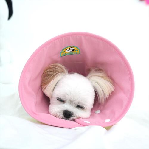 Snoopy Dog Cone (2 colors)