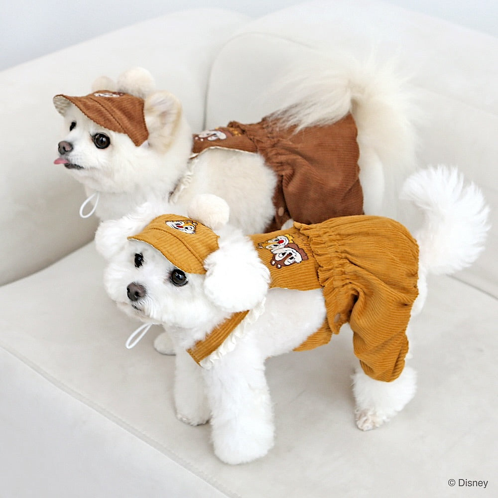 Chip n Dale Corduroy Cap