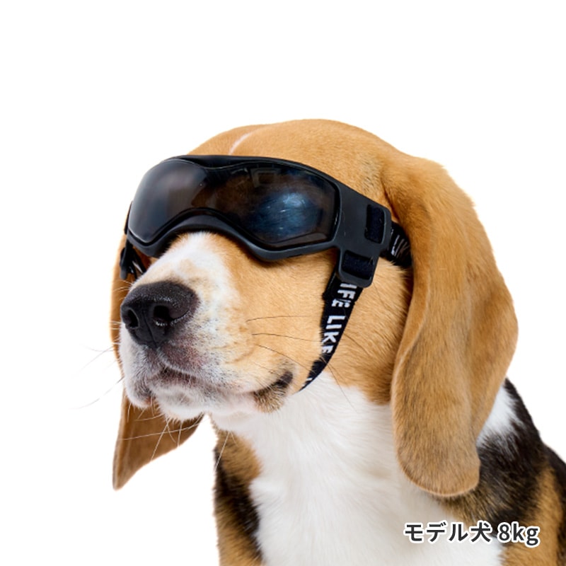 Lifelike Goggles