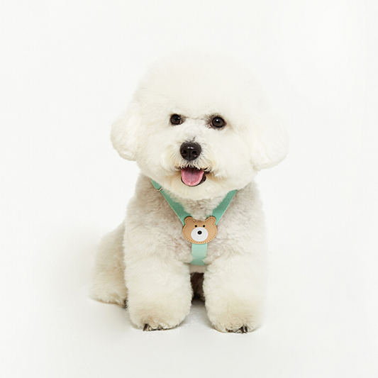 BearBong Harness (Upgrade Ver.!)