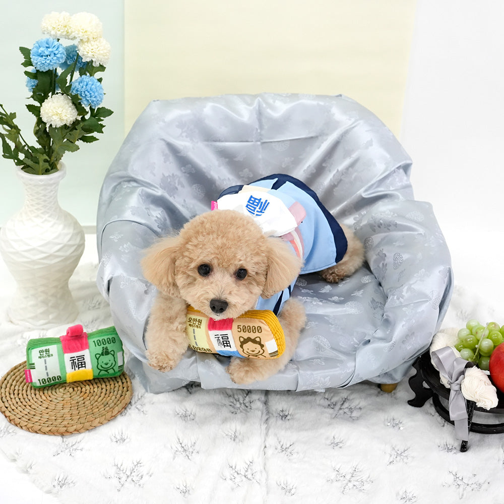 New Year Pouch | Backpack Style