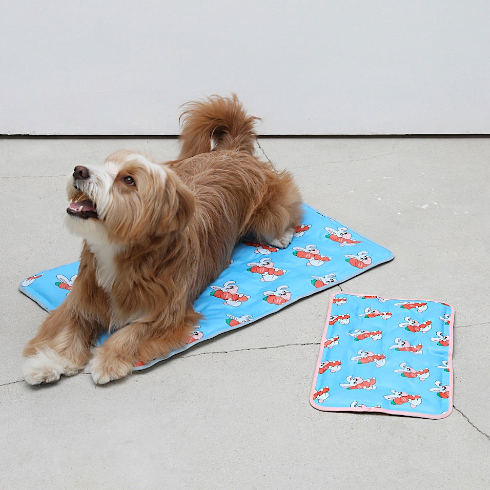 Hula Joy Bear Cooling Mat