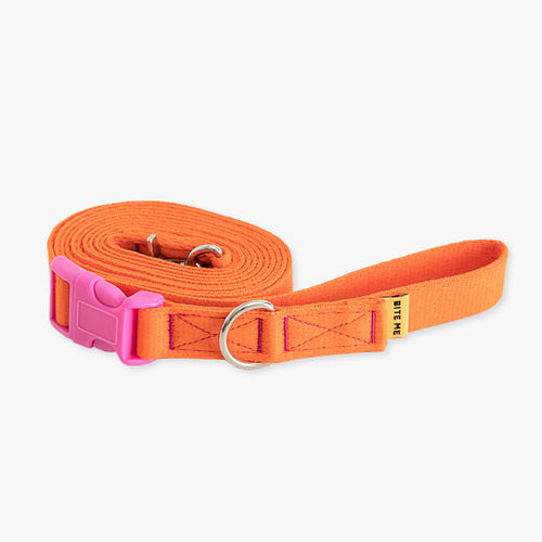 Candy Crayon Hands Free Leash