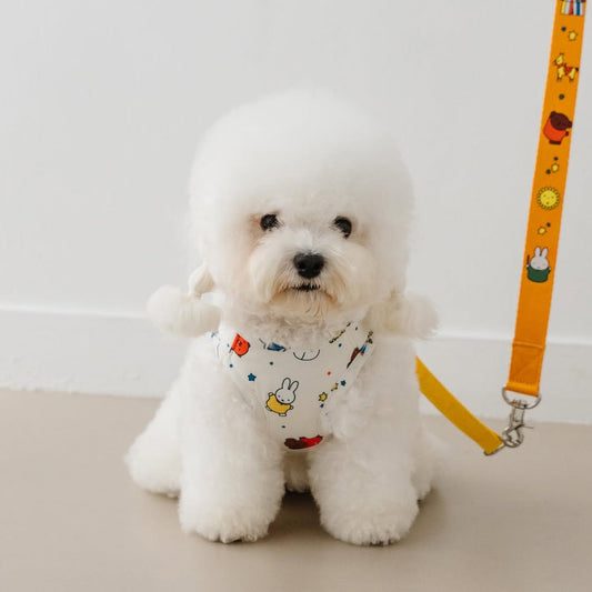 Starry Miffy Harness