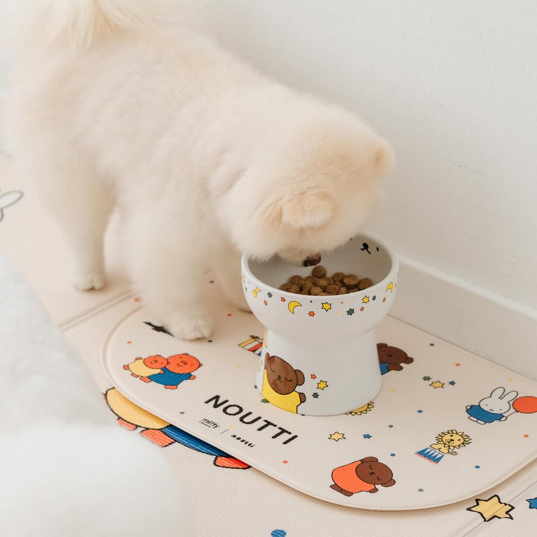 Starry Boris Footed Pet Bowl