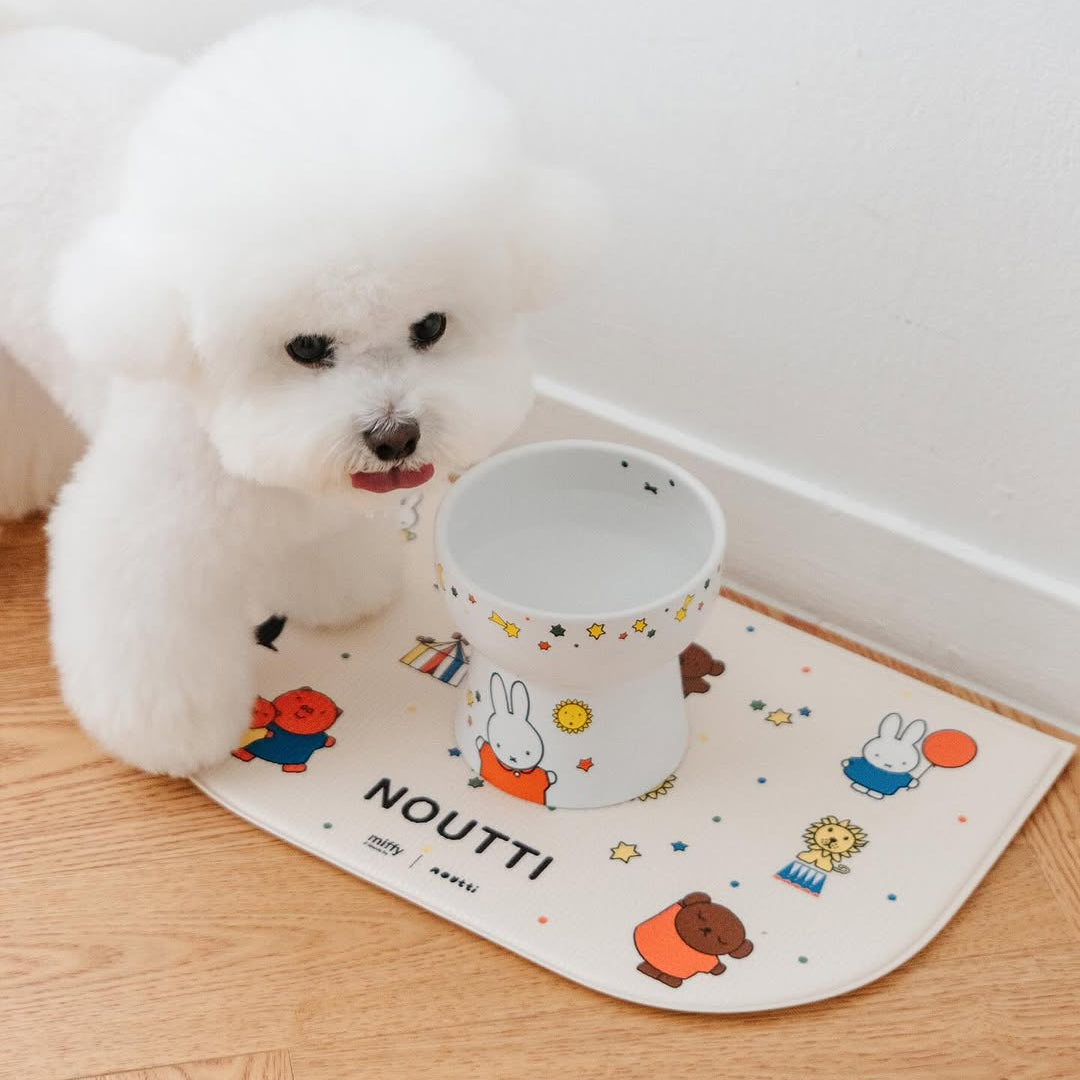 Starry Miffy Footed Pet Bowl