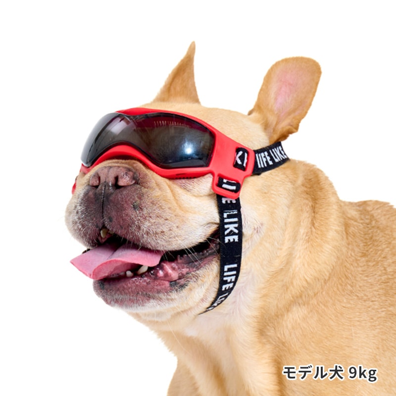 Lifelike Goggles