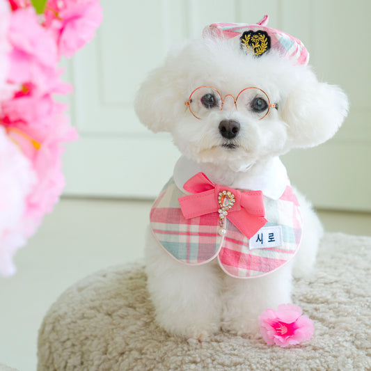 Custom Art School Cape