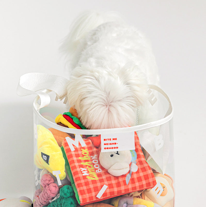 Transparent Toy Basket