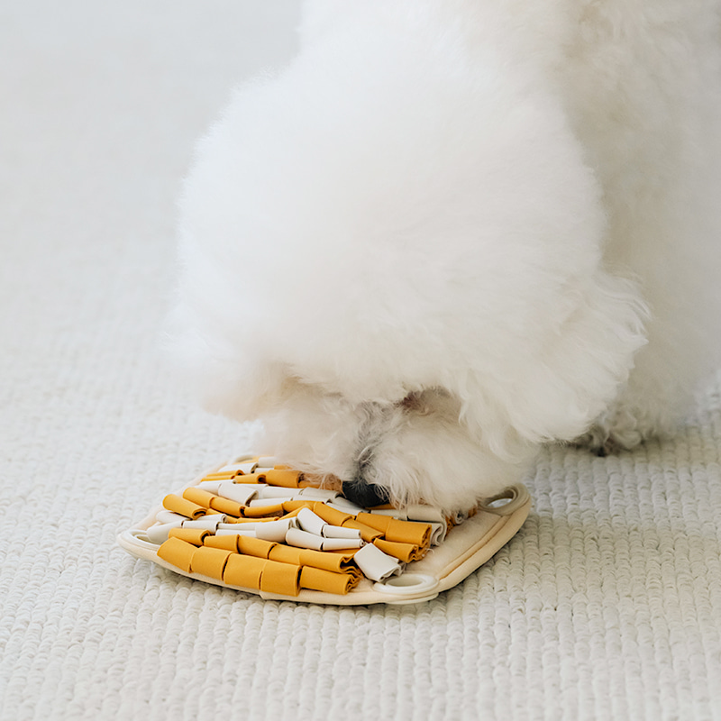 轉轉松鼠益智零食嗅覺玩具