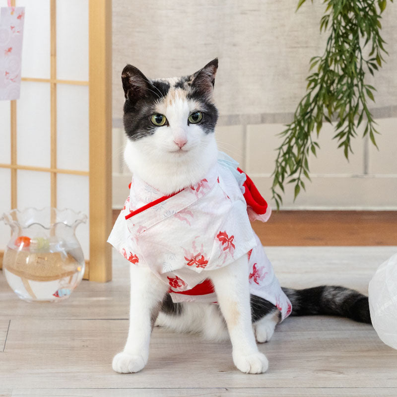 Goldfish Yukata