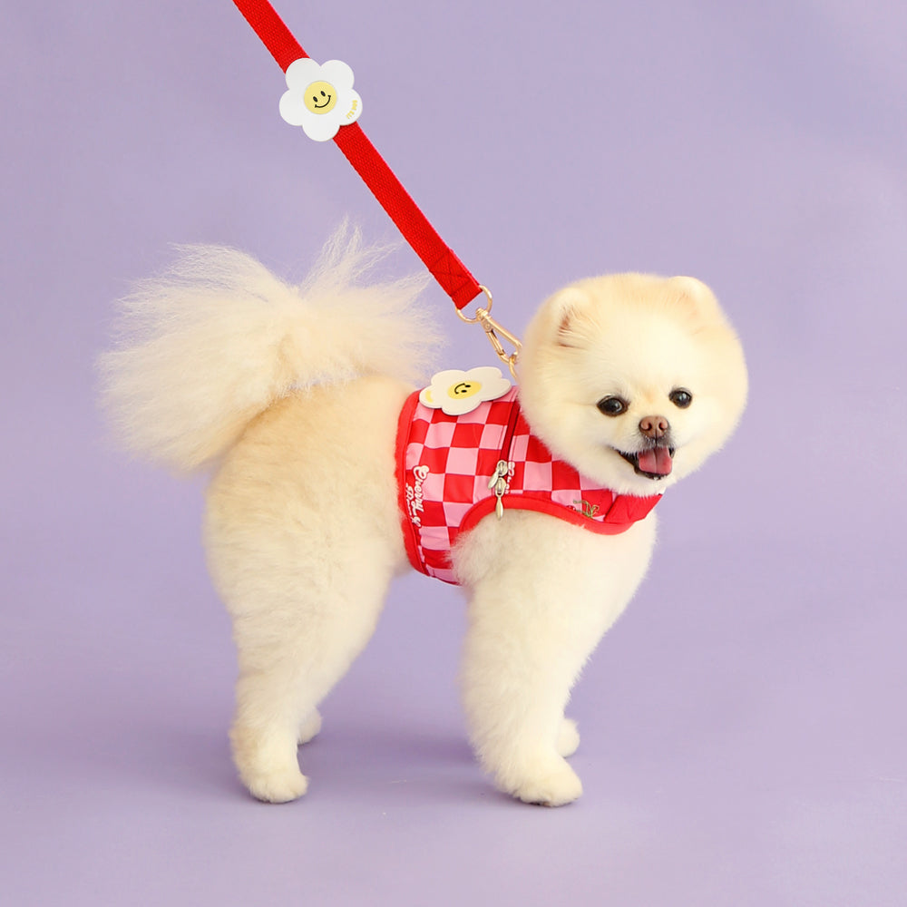 Ice Popping Leash