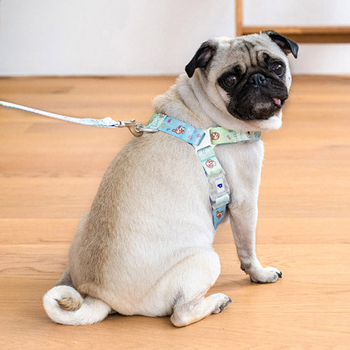 Pororo Hands Free Leash 免提拖帶 | 雙面設計