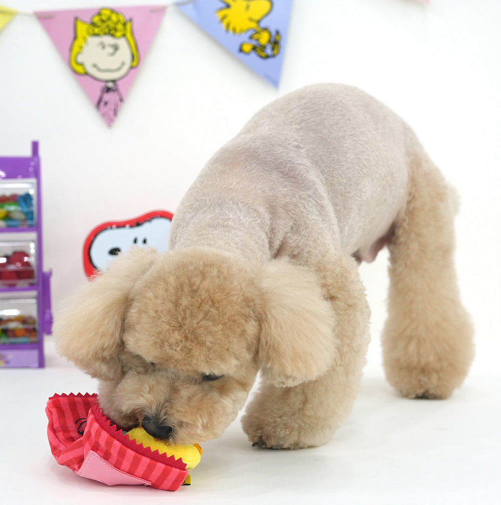 Snoopy Candybar Snack Toy
