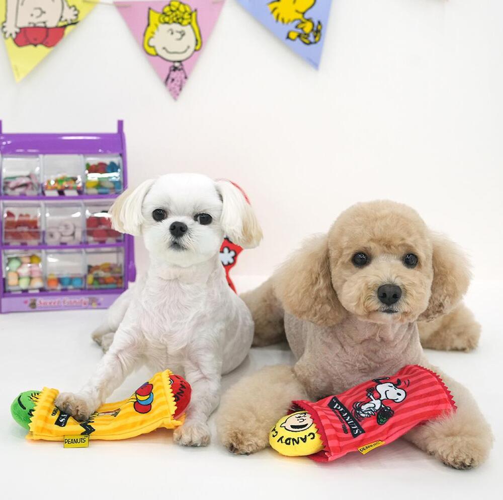 Snoopy Candybar Snack Toy
